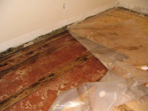 removing carpet and subfloor